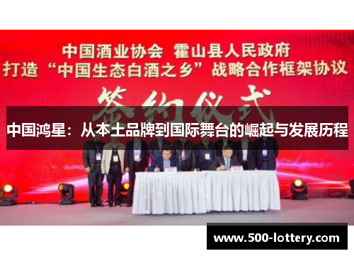 中国鸿星：从本土品牌到国际舞台的崛起与发展历程